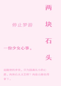 两块石头摆放图片